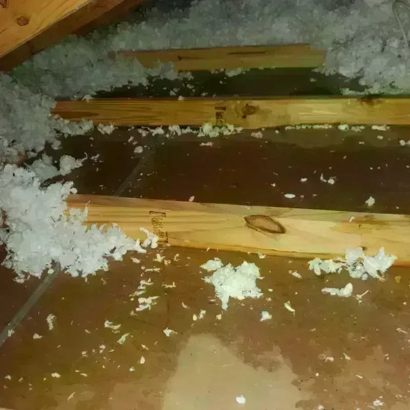 Attic Water Damage in Stacy, MN