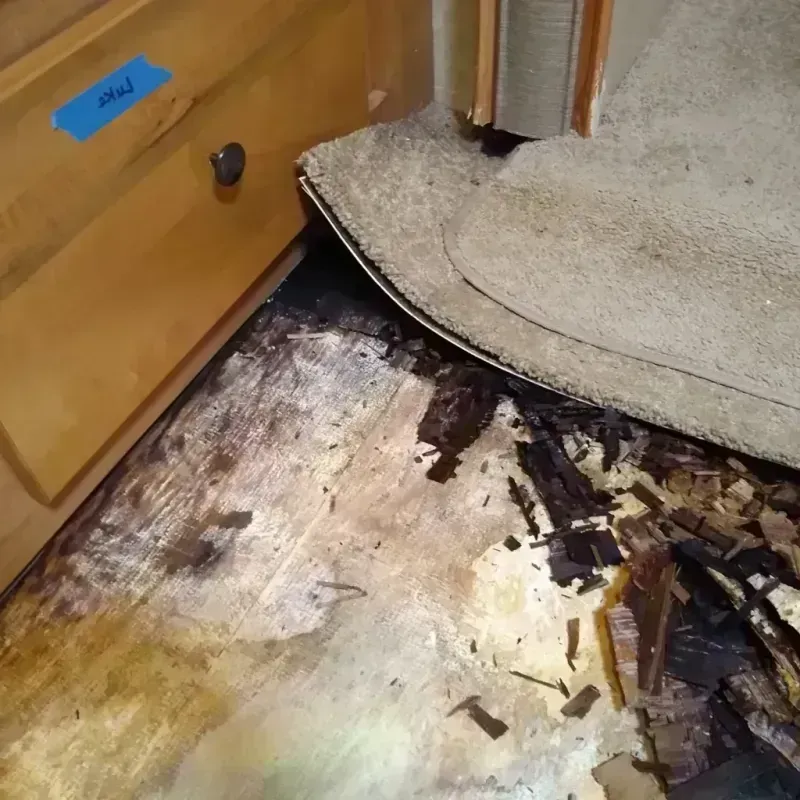 Best Wood Floor Water Damage Service in Stacy, MN